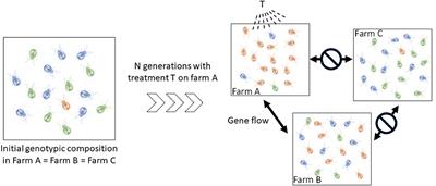 Who Is Dermanyssus gallinae? Genetic Structure of Populations and Critical Synthesis of the Current Knowledge